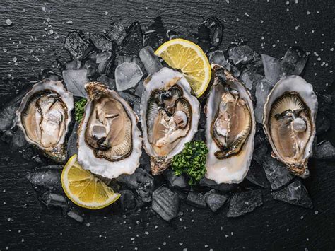 Oyster Price Target